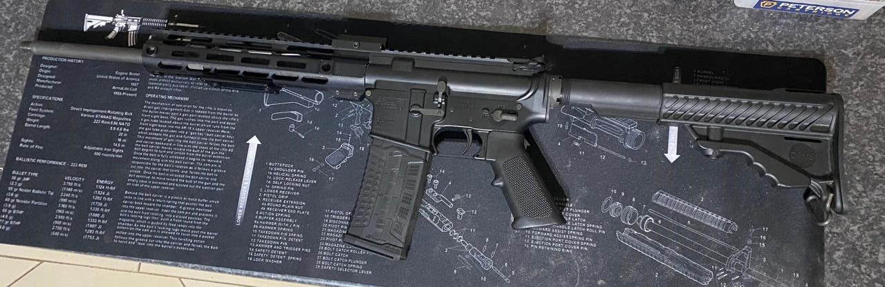DPMS AR-15 223