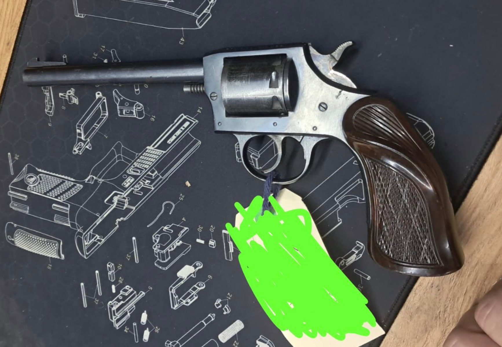 Iver Johnson .22LR