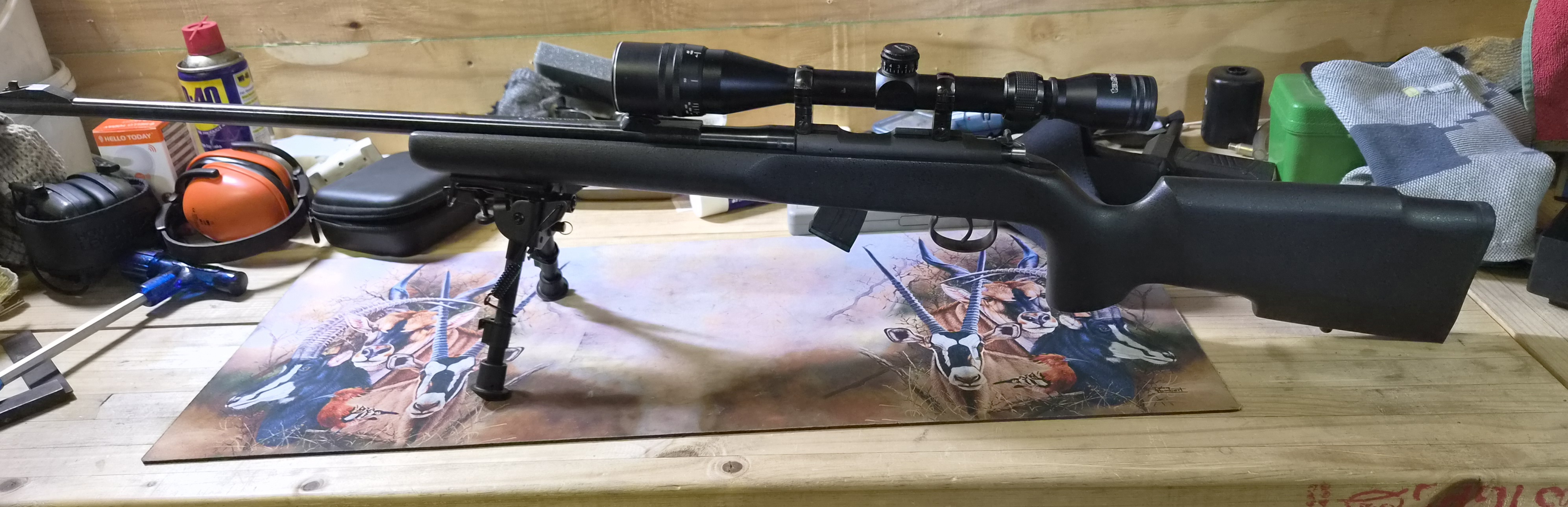 Brno .22LR