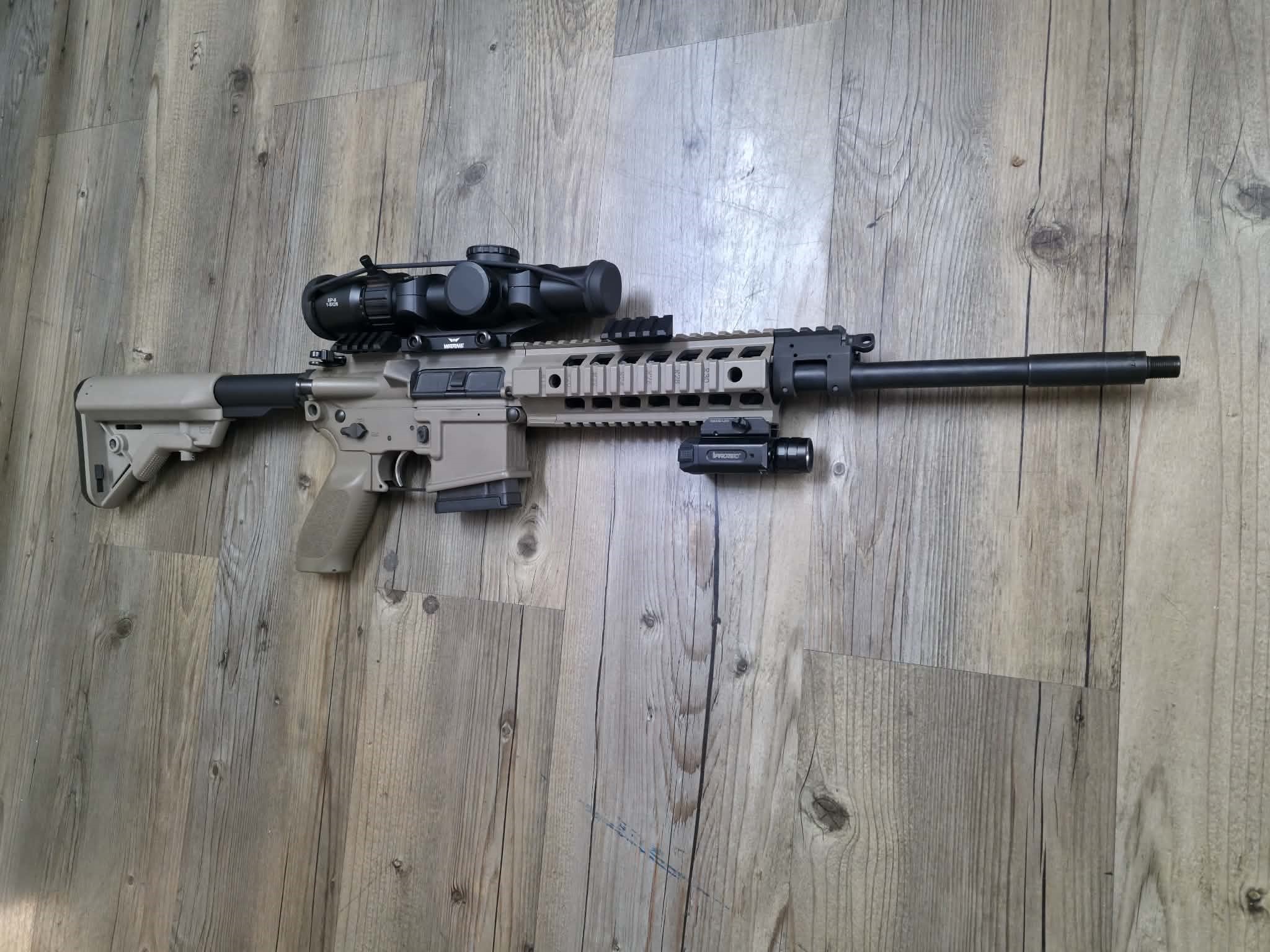 Sig Sauer 223 Semi Auto