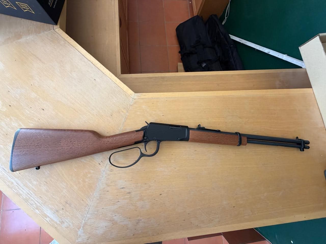 Rossi .22LR Lever Action + 500 Rounds