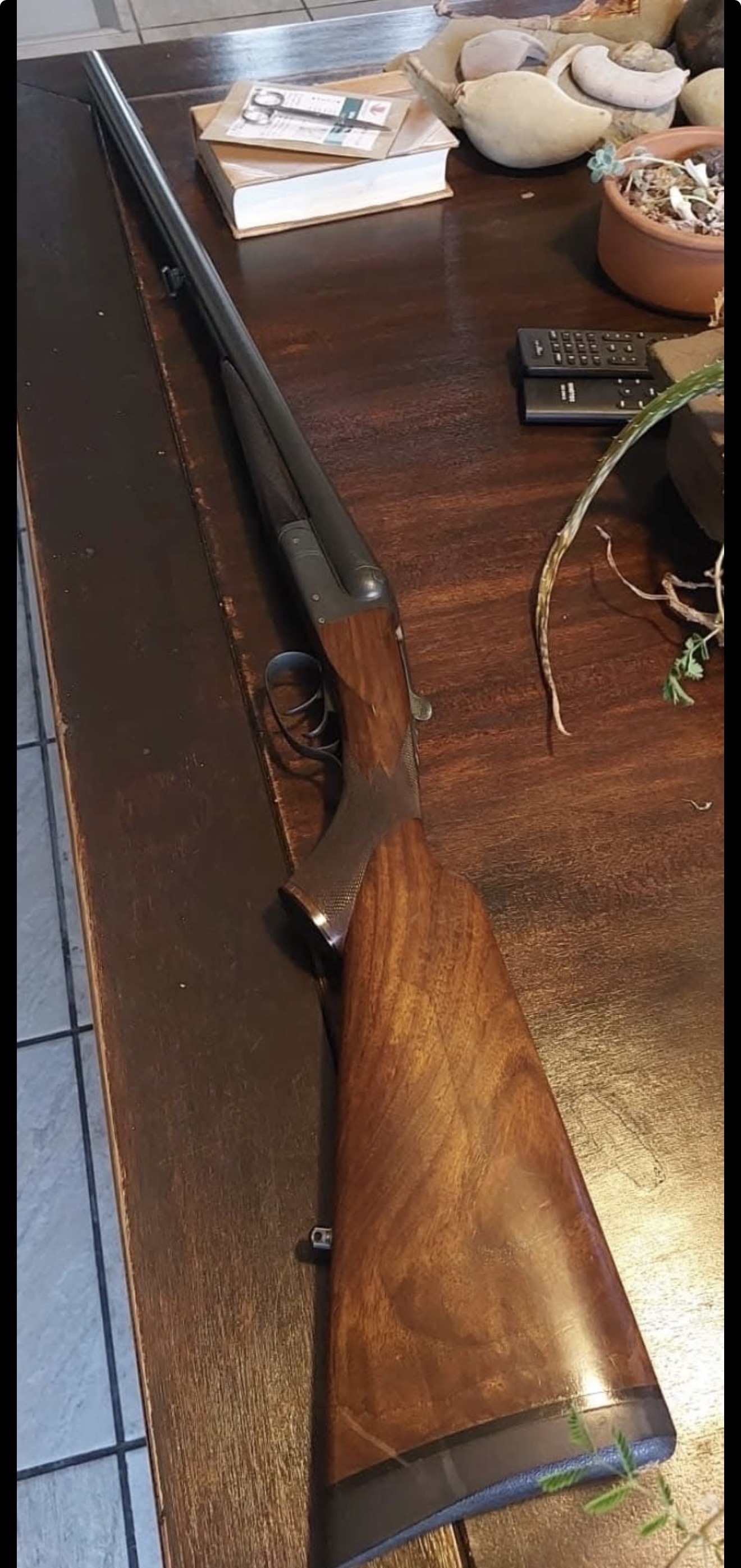 Sauer and Sons 12ga Side by Side
