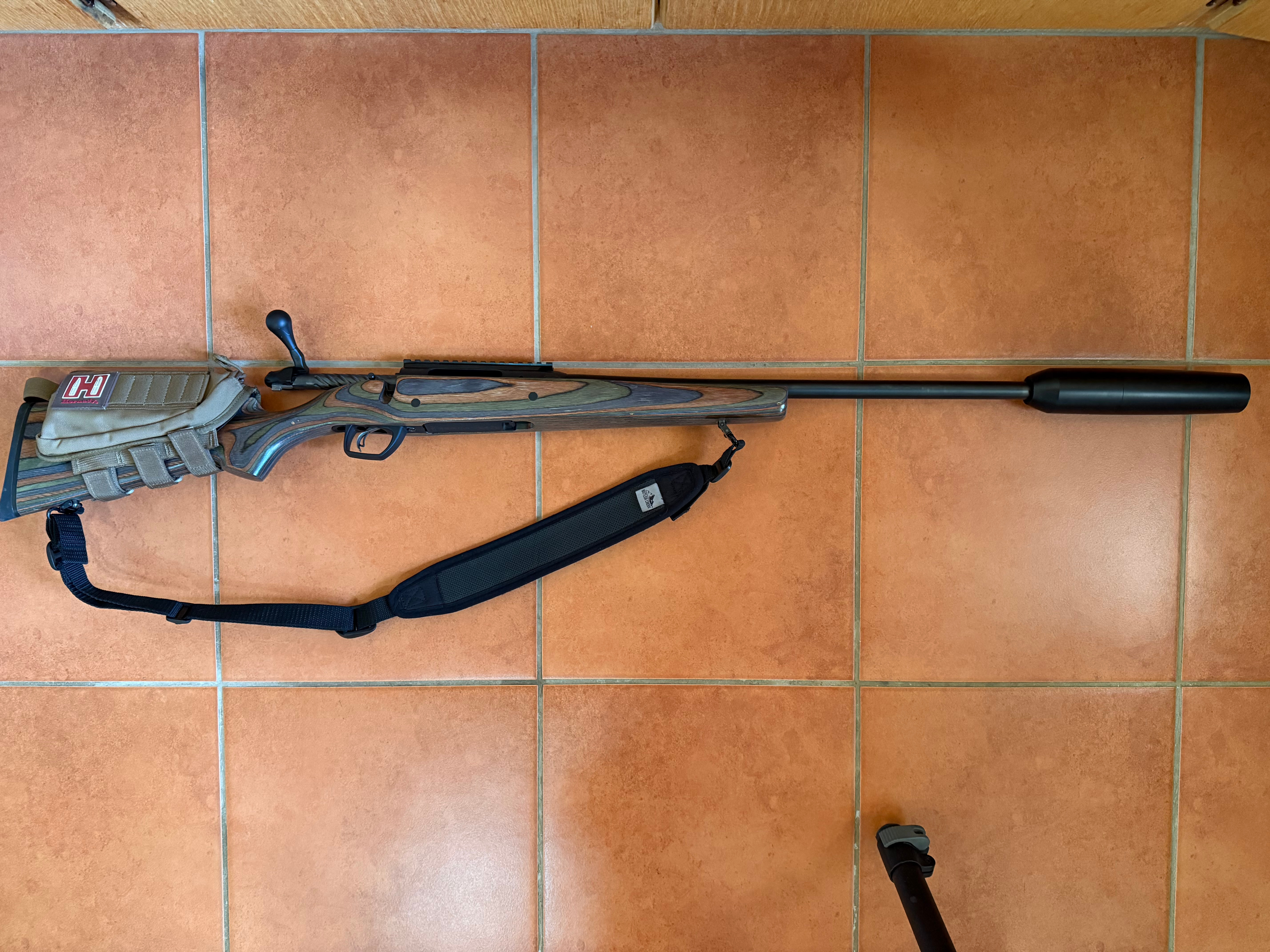 Remington 223