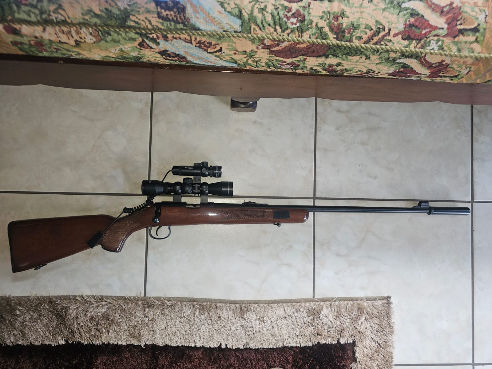 Norinco .22 Rifle