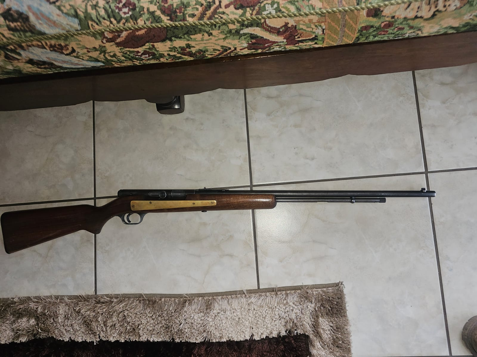 Savage Arms Stevens .22 Semi-auto