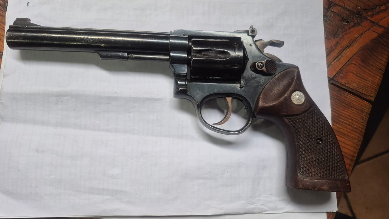 Taurus .22