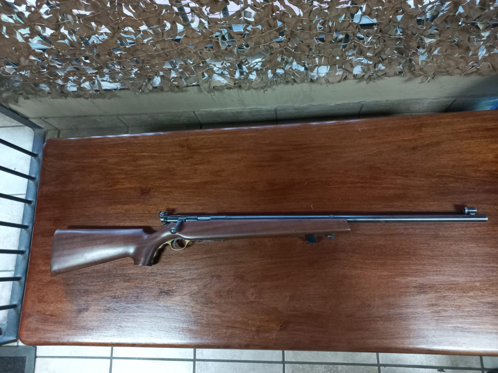 Mossberg 144-LS .22LR