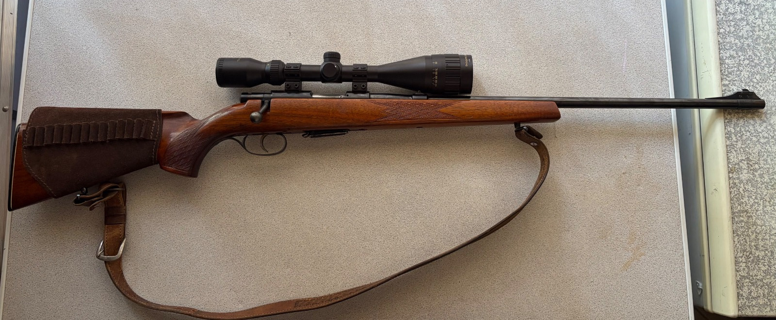 Anshultz None .22 Hornet